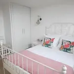 Ala Anka Butik