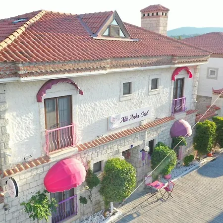 酒店 Ala Anka 阿拉恰特