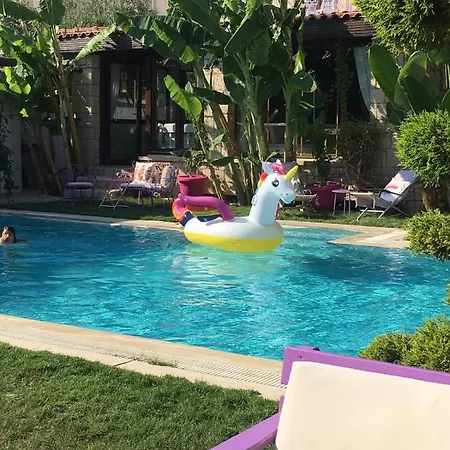 Hotel Ala Anka *