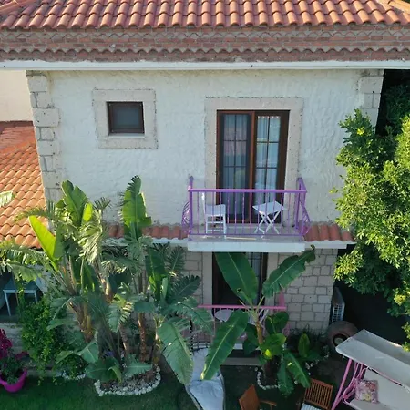 Ala Anka 阿拉恰特