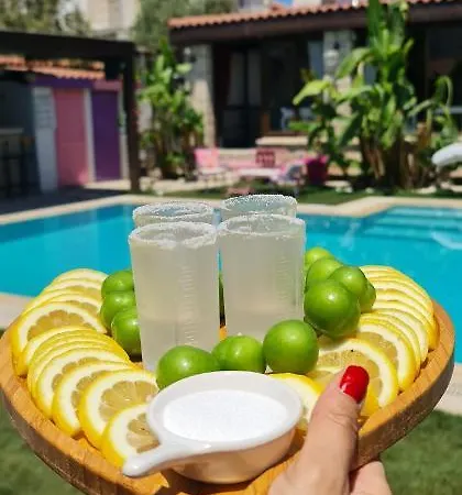 Ala Anka 阿拉恰特